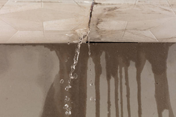 Professional Burst Pipe Cleanup technician working in Terry, MS